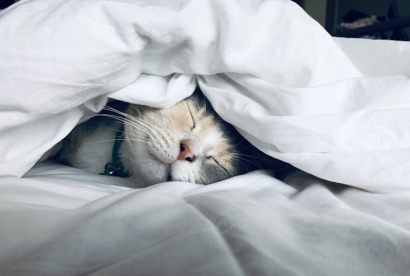 Rest and reassurance — answers before your first visit